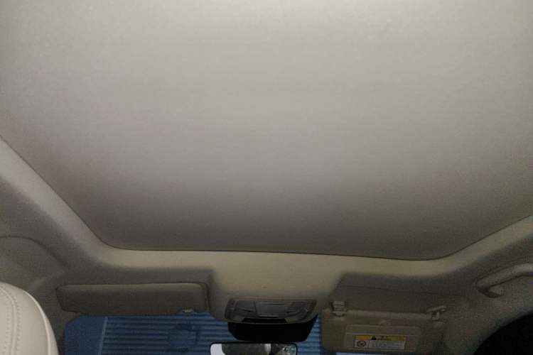 Used ORA Good Cat 2023 401 km Standard Range Premium Version Lithium Iron Phosphate Headliner