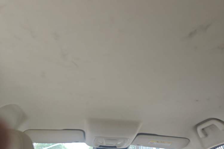Used ORA Good Cat 2023 401 km Standard Range Luxury Version Lithium Iron Phosphate Headliner