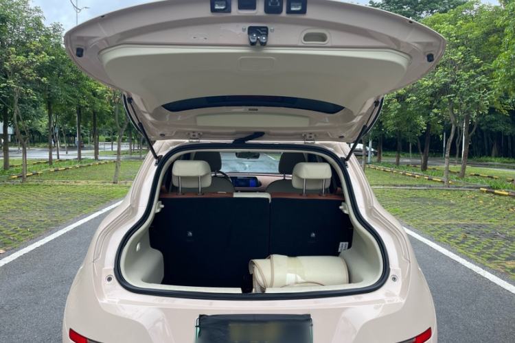 Used ORA Good Cat 2023 401 km Standard Range Luxury Version Lithium Iron Phosphate Interior 6