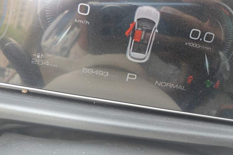 Used ORA Good Cat 2023 401 km Standard Range Luxury Version Lithium Iron Phosphate Odometer Close Up