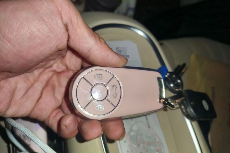 Used ORA Good Cat 2023 401 km Standard Range Premium Version Lithium Iron Phosphate Vehicle Key