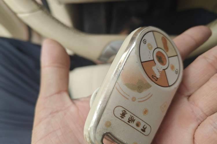 Used ORA Good Cat 2023 401 km Standard Range Luxury Version Lithium Iron Phosphate Vehicle Key