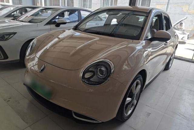 ORA Good Cat 2023 401 km Standard Range Luxury Version Lithium Iron Phosphate usado