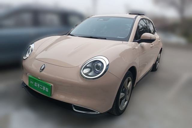 Used ORA Good Cat 2023 401 km Standard Range Luxury Version Ternary Lithium