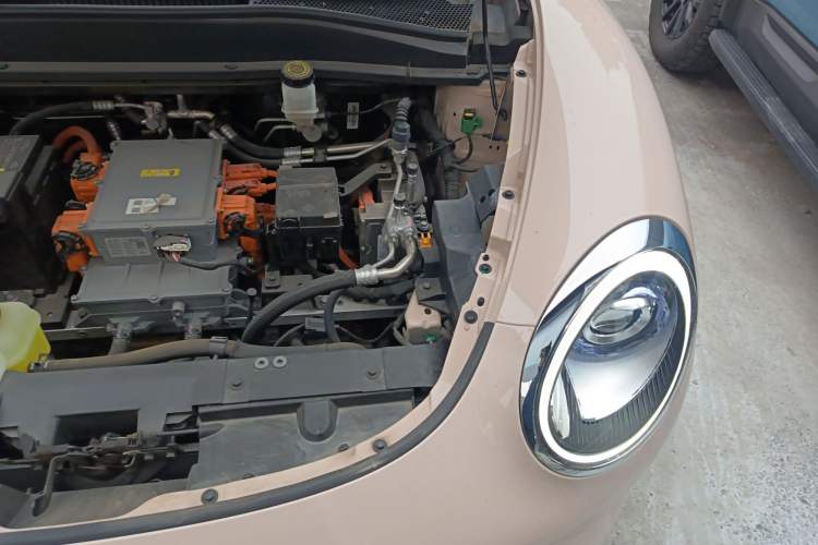 Used ORA Good Cat 2023 401 km Standard Range Luxury Version Ternary Lithium Engine Bay Left