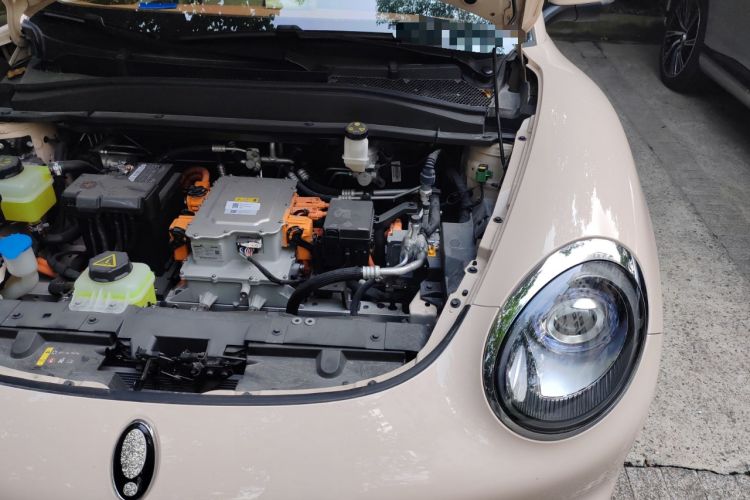 Used ORA Good Cat 2023 401 km Standard Range Prestige Version Lithium Iron Phosphate Engine Bay Left