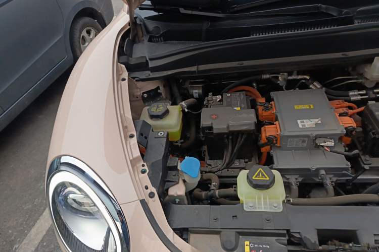 Used ORA Good Cat 2023 401 km Standard Range Luxury Version Ternary Lithium Engine Bay Right