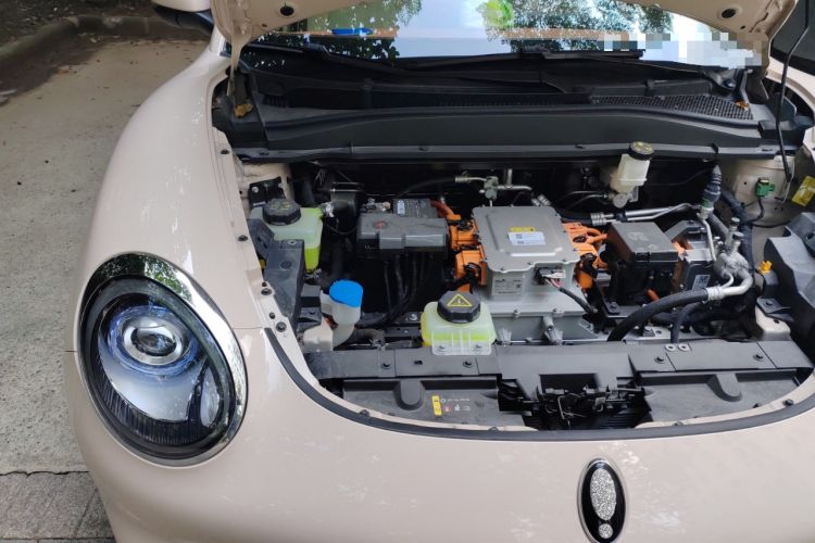 Used ORA Good Cat 2023 401 km Standard Range Prestige Version Lithium Iron Phosphate Engine Bay Right