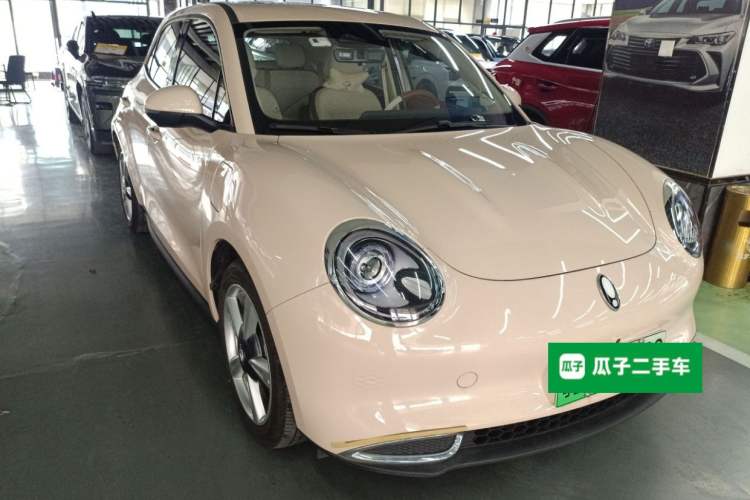 Used ORA Good Cat 2023 401 km Standard Range Premium Version Lithium Iron Phosphate Exterior 2