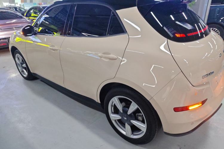 Used ORA Good Cat 2023 401 km Standard Range Luxury Version Ternary Lithium Exterior 3