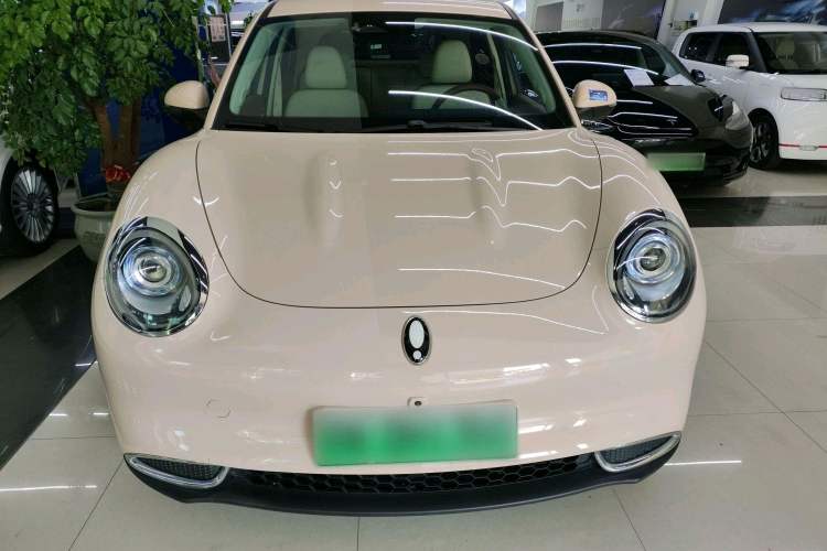 Used ORA Good Cat 2023 401 km Standard Range Luxury Version Lithium Iron Phosphate Exterior 3