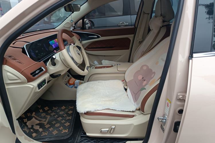 Used ORA Good Cat 2023 401 km Standard Range Luxury Version Ternary Lithium Left Front Seat