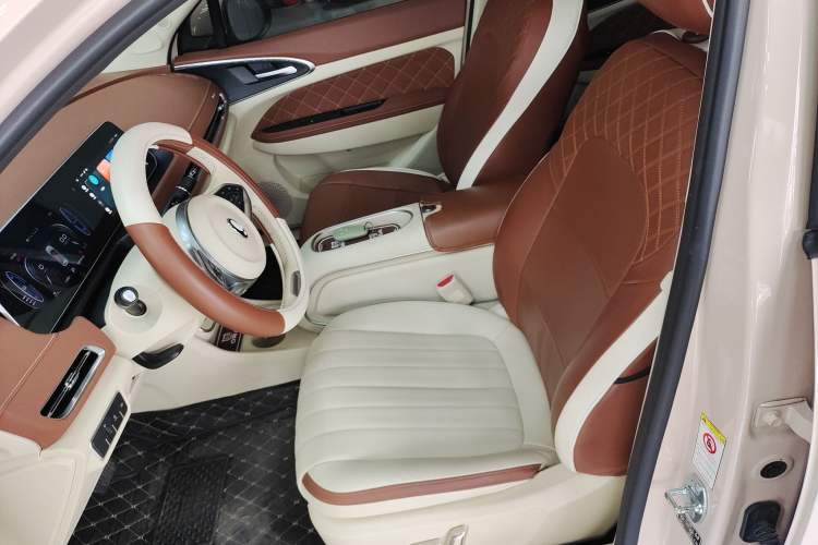Used ORA Good Cat 2023 401 km Standard Range Luxury Version Lithium Iron Phosphate Left Front Seat