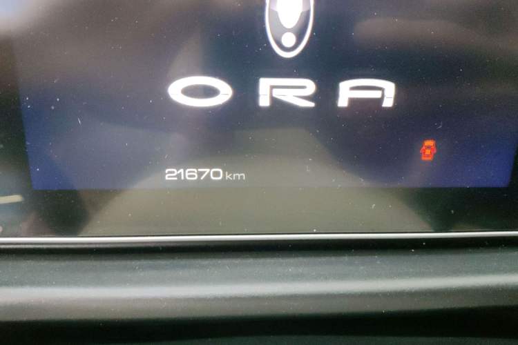Used ORA Good Cat 2023 401 km Standard Range Luxury Version Lithium Iron Phosphate Odometer Close Up