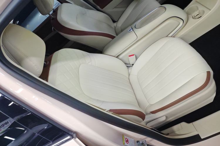 Used ORA Good Cat 2023 401 km Standard Range Luxury Version Ternary Lithium Right Front Seat