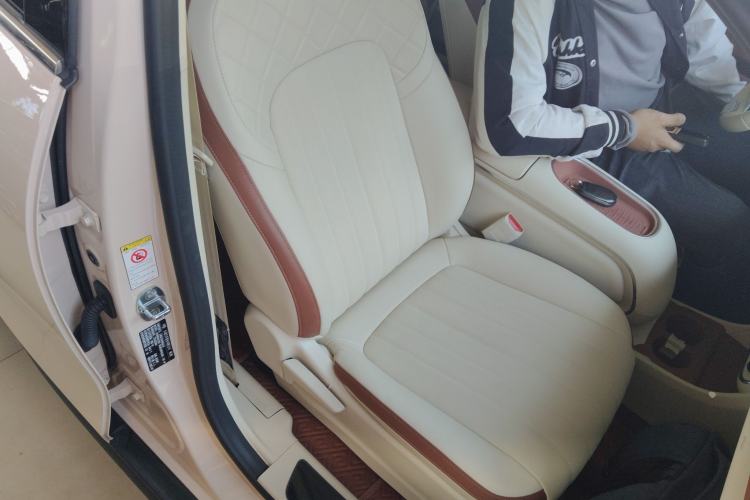 Used ORA Good Cat 2023 401 km Standard Range Luxury Version Lithium Iron Phosphate Right Front Seat