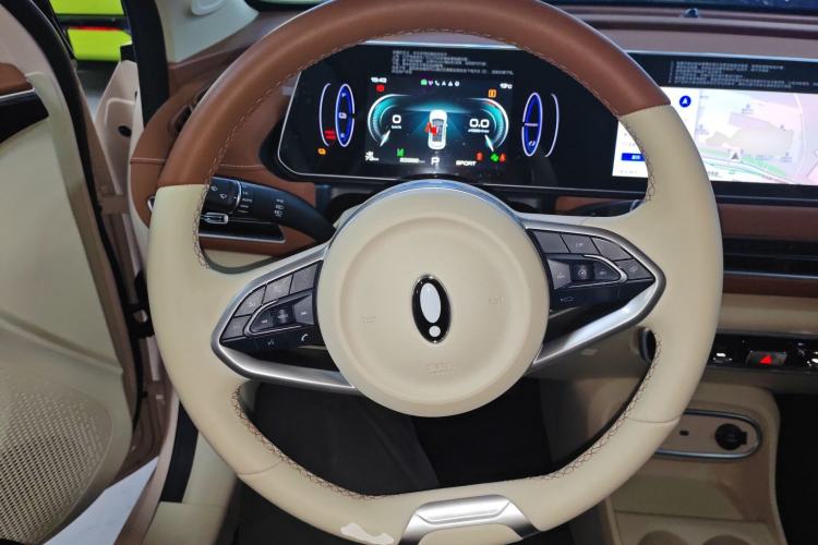 Used ORA Good Cat 2023 401 km Standard Range Luxury Version Ternary Lithium Steering Wheel