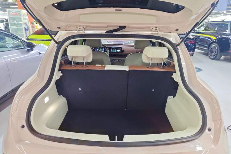 Used ORA Good Cat 2023 401 km Standard Range Luxury Version Ternary Lithium Trunk