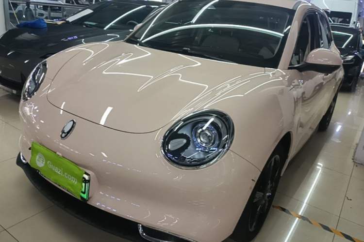 Used ORA Good Cat 2024 401 km Luxury Version Guazi used car, China used car export, Used car for sale, Used  cars, Cheapest cars for sale