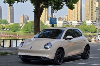 Used ORA Good Cat 2024 401 km Luxury Version
