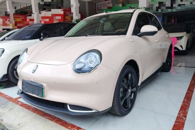 Used ORA Good Cat 2024 401 km Luxury Version 126 kW