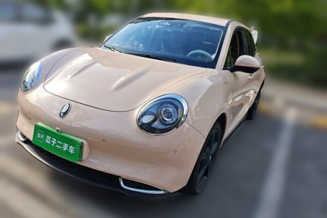 Used ORA Good Cat 2024 401 km Range Luxury Version 135 kW