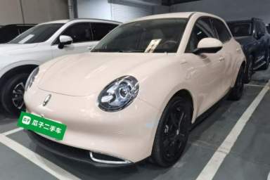 Used ORA Good Cat 2024 401 km Luxury Version