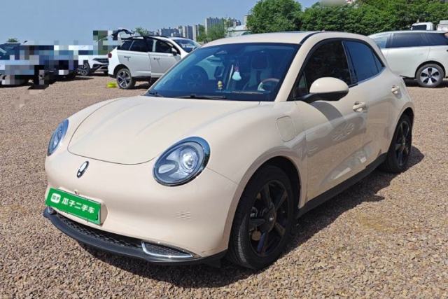Used ORA Good Cat 2024 401 km Luxury Version