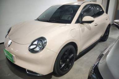 Used ORA Good Cat 2024 401 km Luxury Version