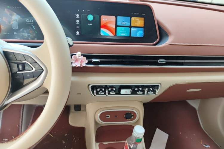 Used ORA Good Cat 2024 401 km Comfort Edition Audio And AC Panel