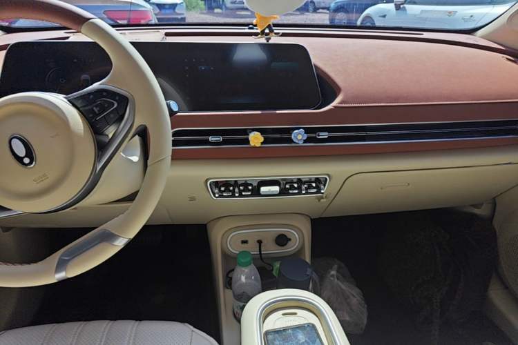 Used ORA Good Cat 2024 401 km Luxury Version Audio And AC Panel