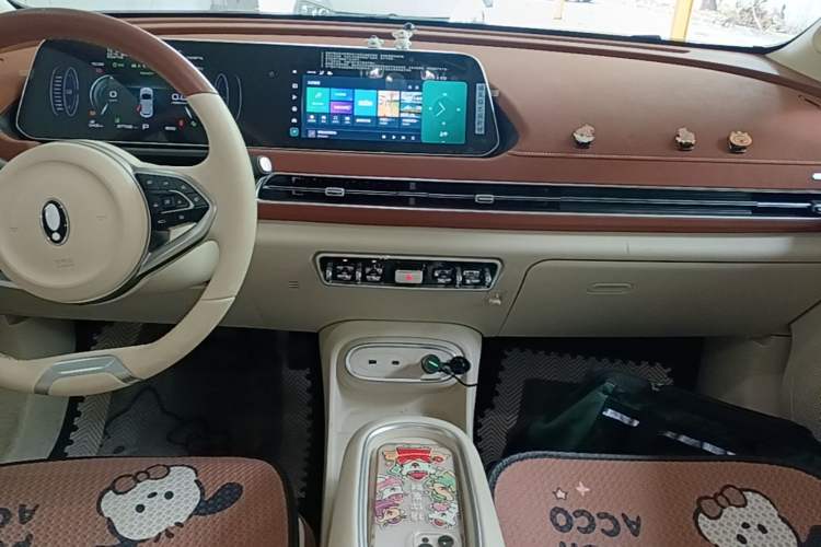 Used ORA Good Cat 2024 401 km Comfort Edition Audio And AC Panel