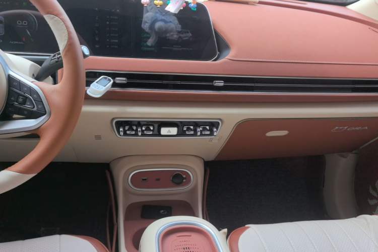 Used ORA Good Cat 2024 401 km Range Luxury Version 135 kW Audio And AC Panel