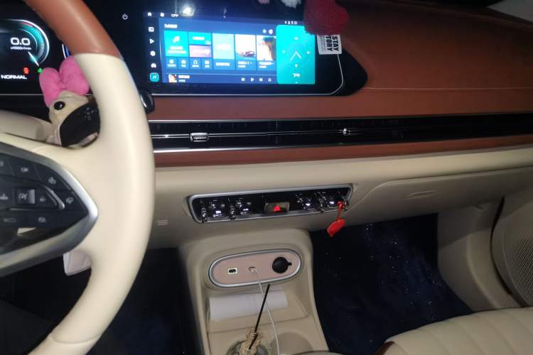 Used ORA Good Cat 2024 401 km Luxury Version Audio And AC Panel