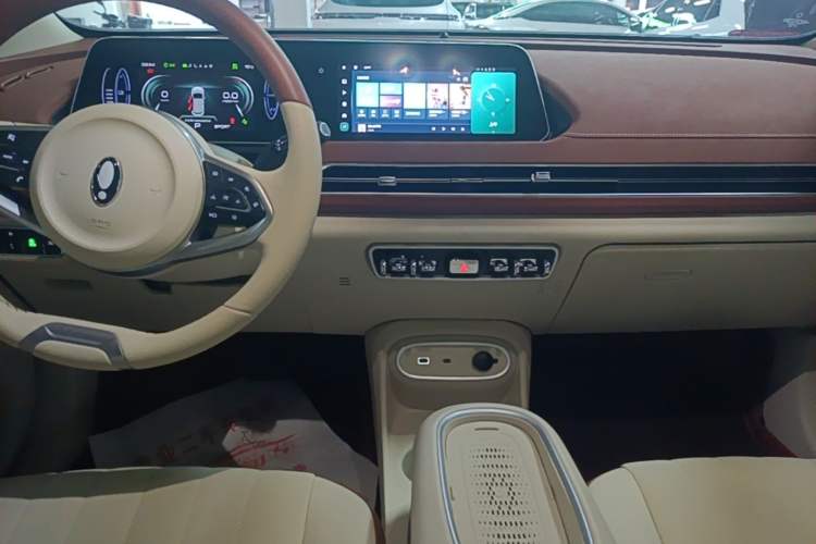 Used ORA Good Cat 2024 401 km Luxury Version Audio And AC Panel