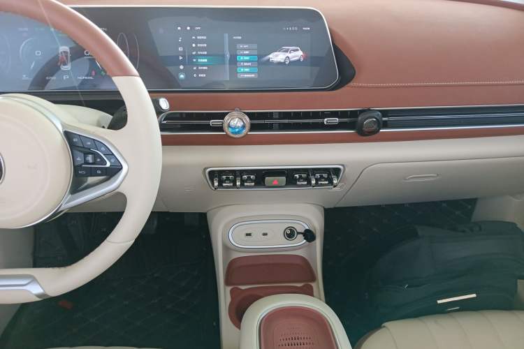 Used ORA Good Cat 2024 401 km Luxury Version Audio And AC Panel