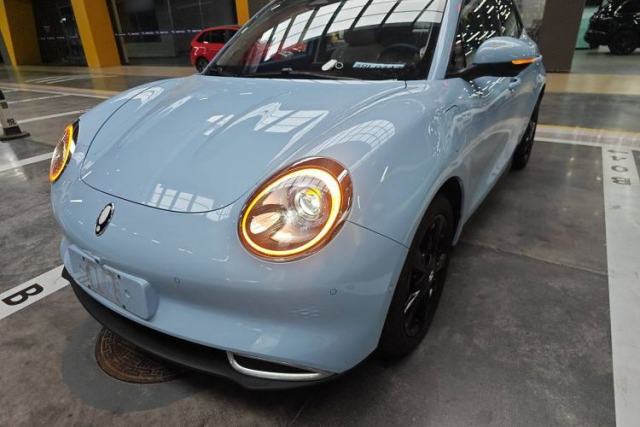 Used ORA Good Cat 2024 401 km Range Luxury Version 135 kW
