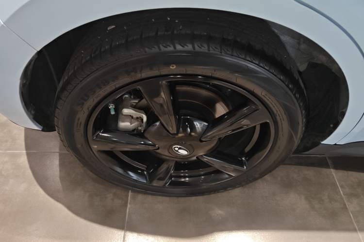 Used ORA Good Cat 2024 501 km Luxury Version Exterior 5