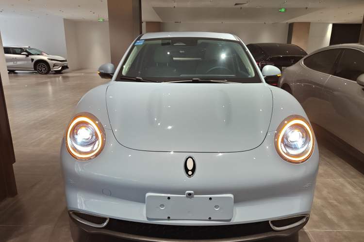 Used ORA Good Cat 2024 501 km Luxury Version Front