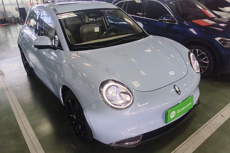Used ORA Good Cat 2024 401 km Luxury Version Front Right 45 Deg