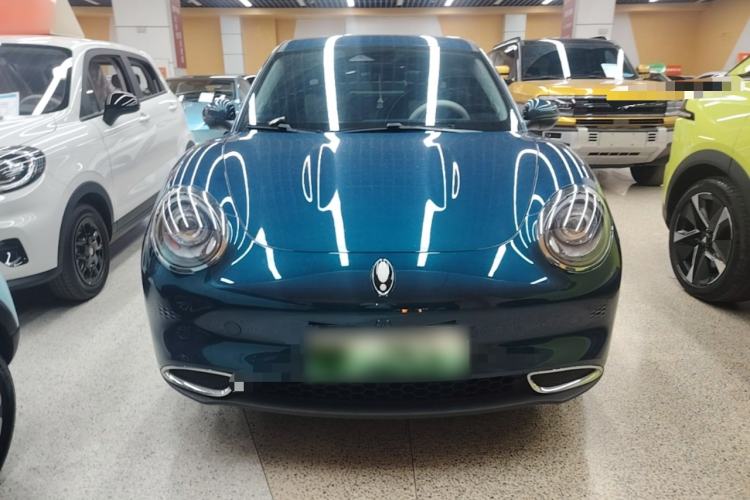 Used ORA Good Cat 2024 401 km Luxury Version Front