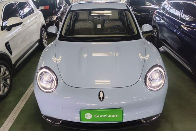 Used ORA Good Cat 2024 401 km Luxury Version Front
