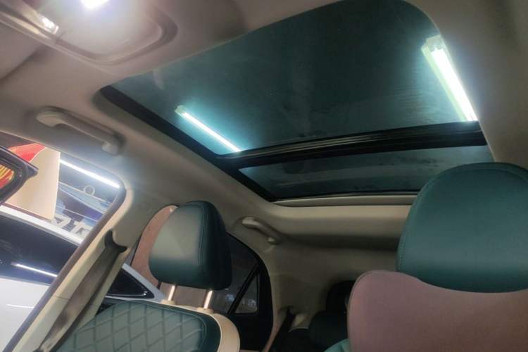 Used ORA Good Cat 2024 401 km Luxury Version Headliner