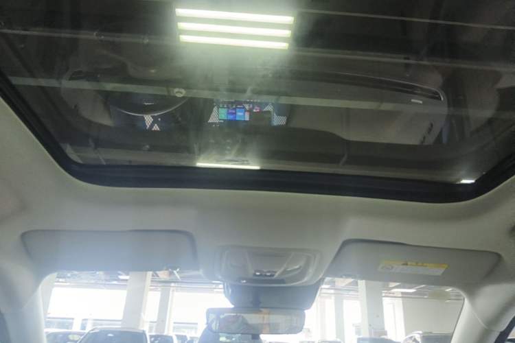 Used ORA Good Cat 2024 401 km Luxury Version Headliner