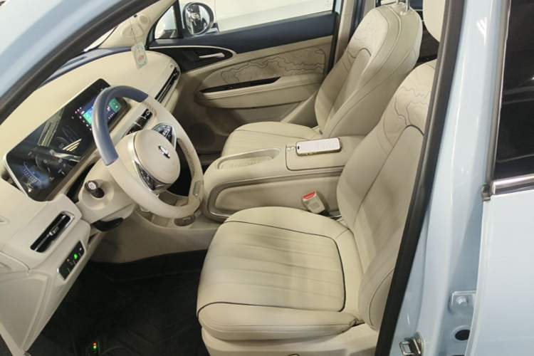 Used ORA Good Cat 2024 401 km Luxury Version Left Front Seat
