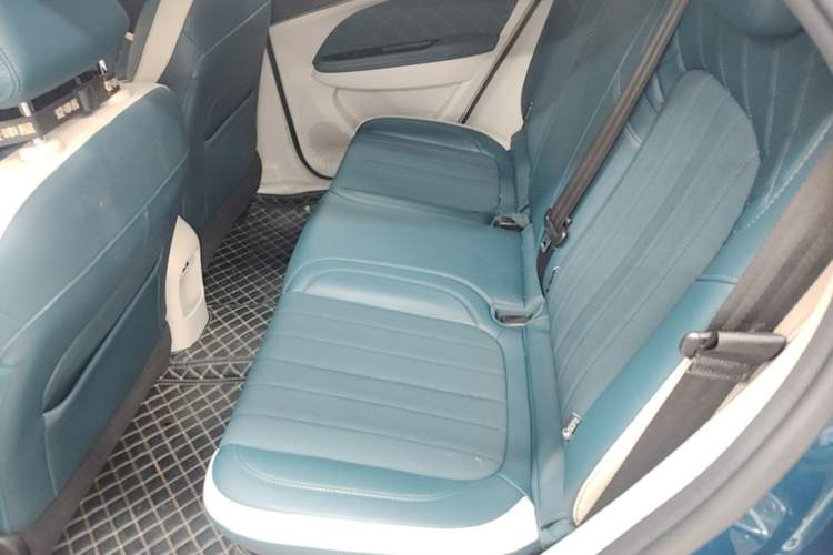 Used ORA Good Cat 2024 401 km Luxury Version Left Rear Seat