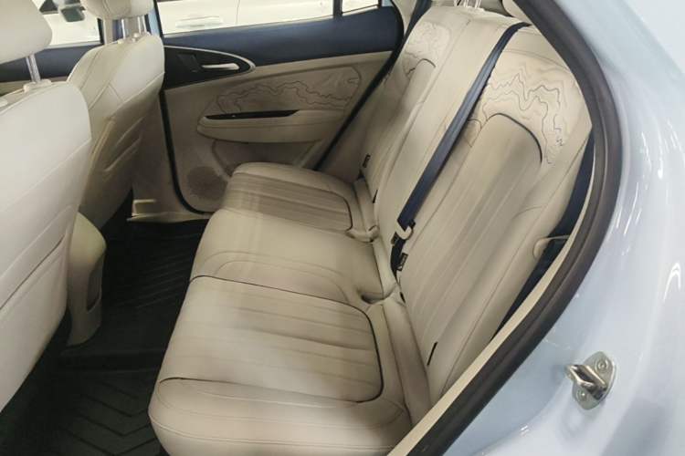 Used ORA Good Cat 2024 401 km Luxury Version Left Rear Seat