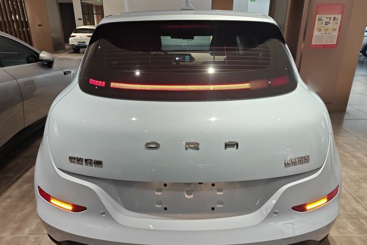 Used ORA Good Cat 2024 501 km Luxury Version Rear