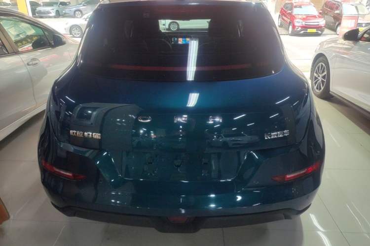 Used ORA Good Cat 2024 401 km Luxury Version Rear