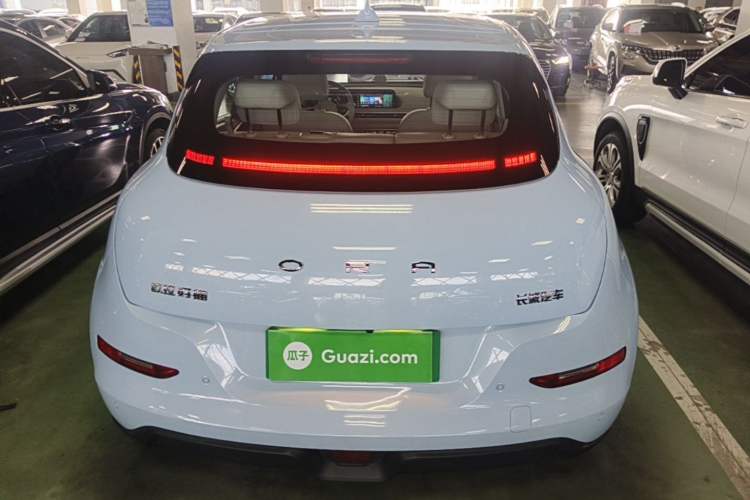 Used ORA Good Cat 2024 401 km Luxury Version Rear